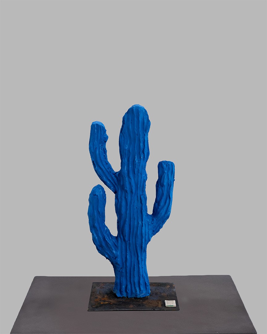 Story Of Life  | cactus mic | albastru |