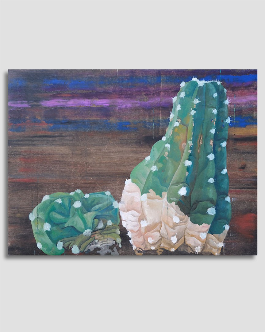 Cactus VI