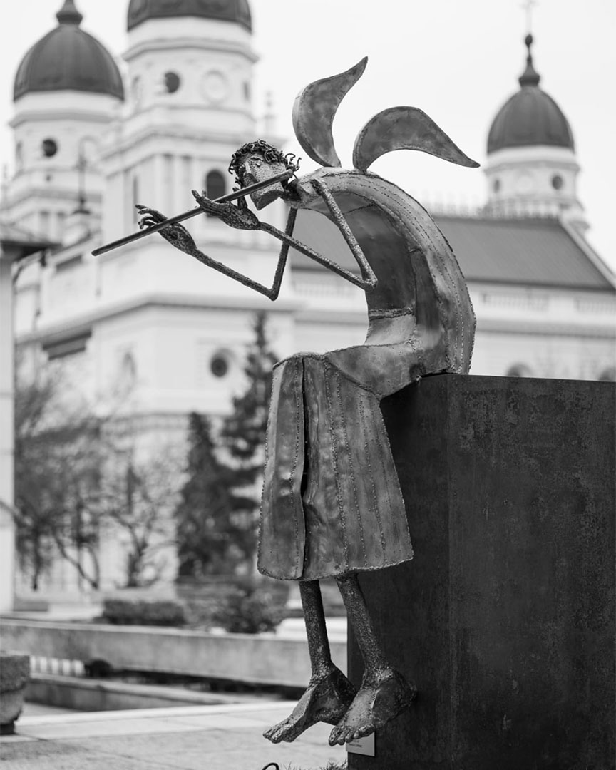 Bucurați-vă