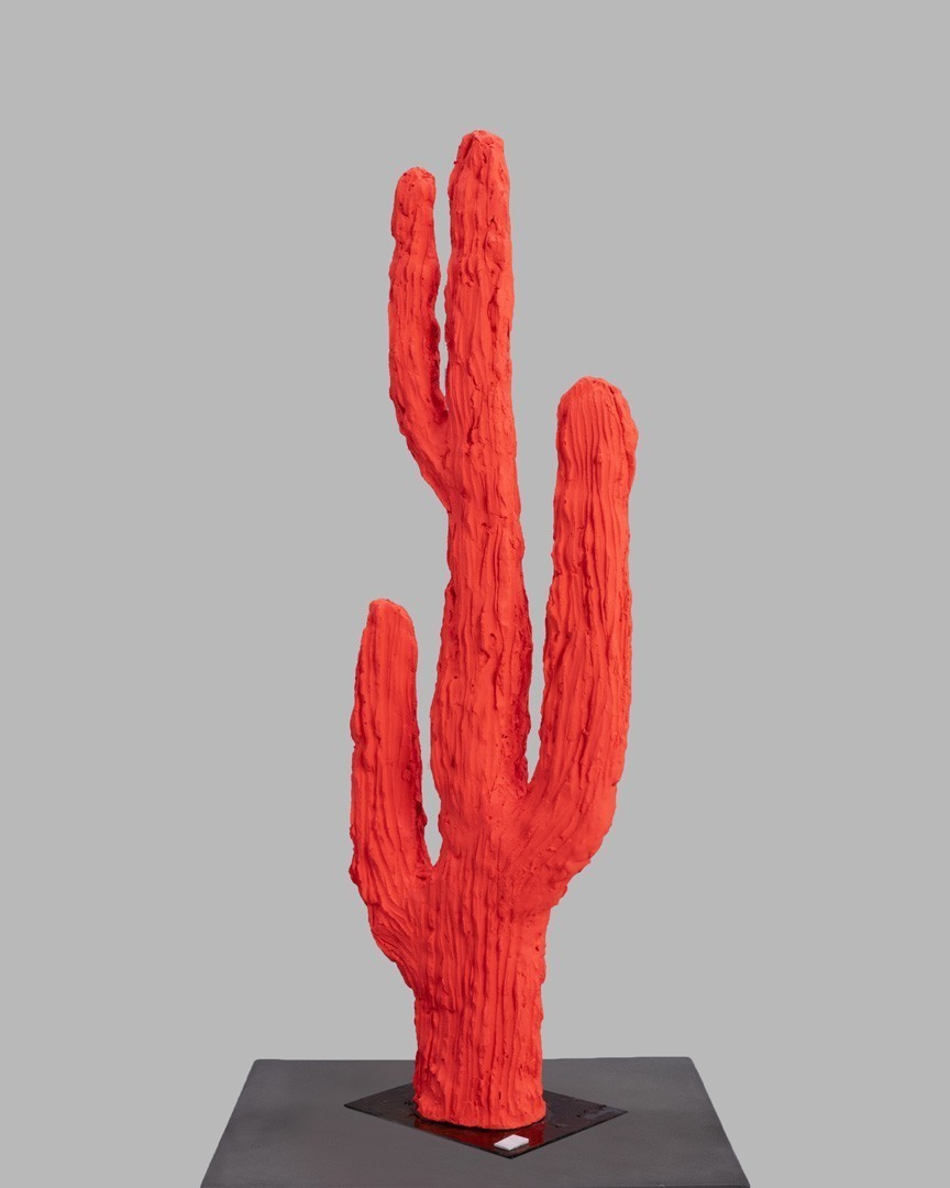 Story Of Life  | cactus mare | corai neon |