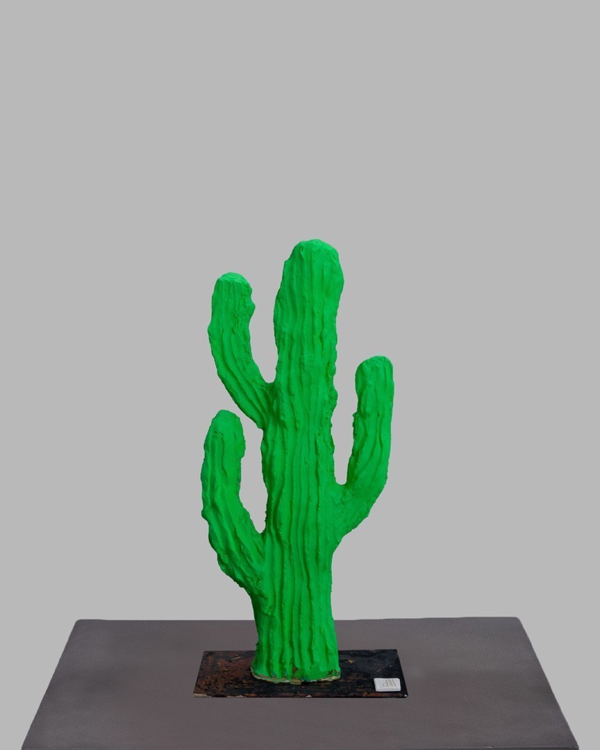Story Of Life  | cactus mic | verde neon |
