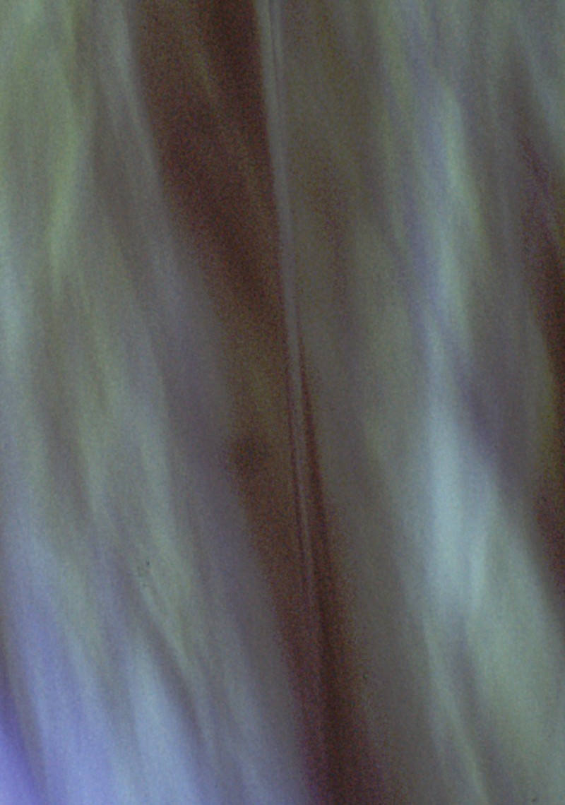 Nan Wang – Oscillation in Sight #01